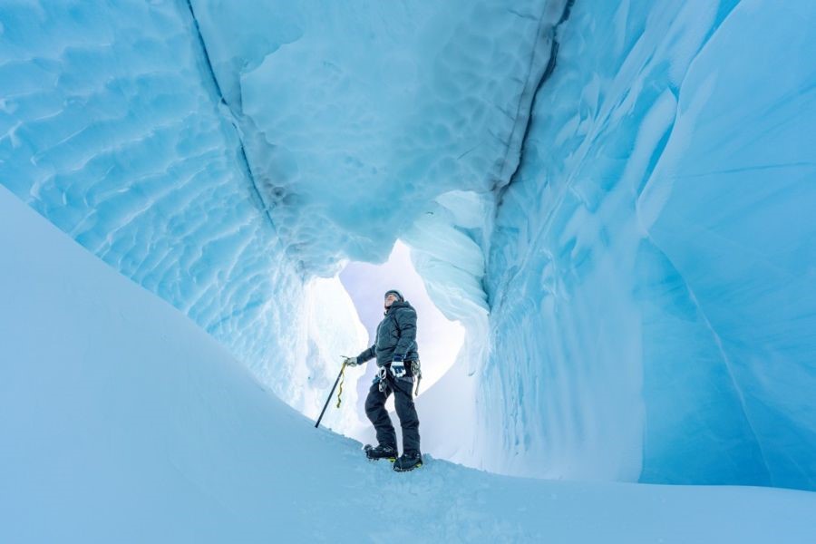 David Tennant Narrates PBS’ New Polar Documentary Series Ages of Ice